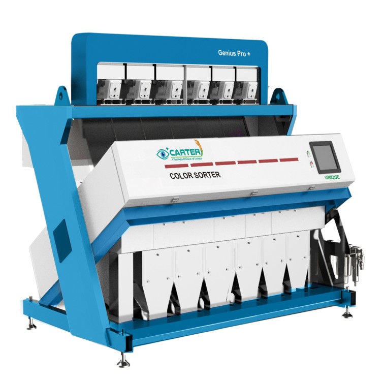 Best Color Sorter Machine Manufacturer in India – Complete Guide for Buyers